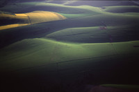southdowns1