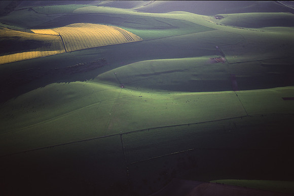 southdowns1