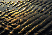 sand_ripples
