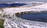 southdowns11