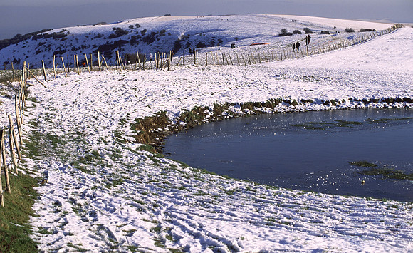 southdowns11