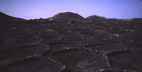 Lanzarote_volcanic_farming2