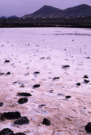 saltpan
