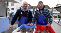 Phillips_Brothers