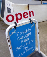 Phillips_Sign