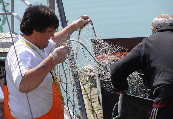 Checking_nets_Brighton_Marina