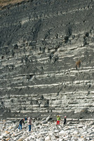Black_Ven_Lyme_Regis_Cliff