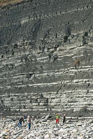 Black_Ven_Lyme_Regis_Cliff