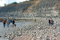 Black_Ven_Lyme_Regis_Cliff2