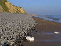 Norfolk_Coast_Sherringham