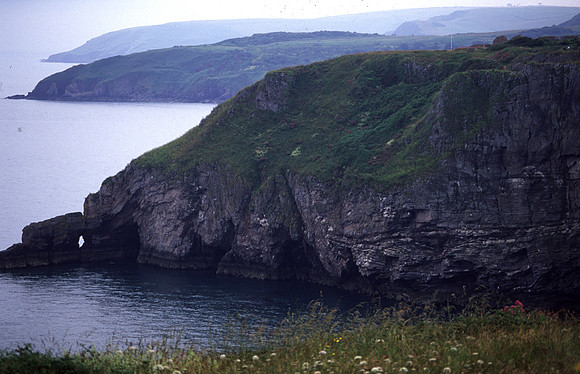 Berry Head