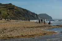 Charmouth_Beach_East
