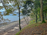 Players_Beach_Binstead