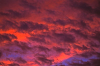 Pink clouds2