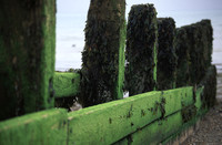 seaweedgroynes10