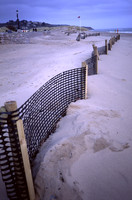dune_creation