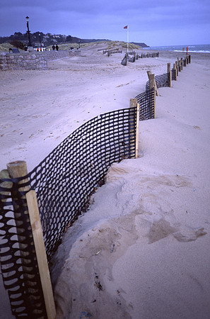 dune_creation