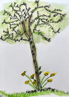 Olive_Tree_Ryde_6.26