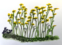 Garden_flowers_6.26