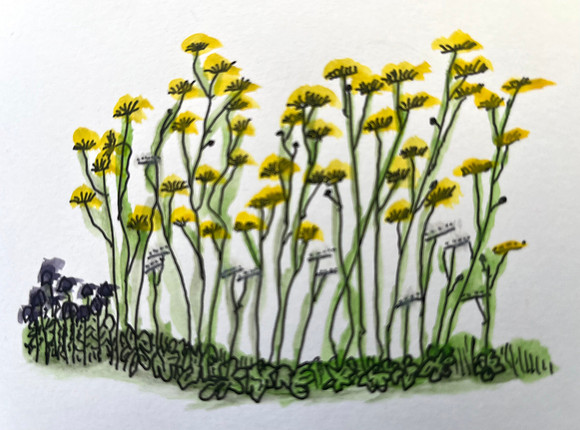 Garden_flowers_6.26