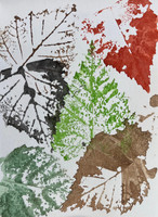 coloured leaf prints