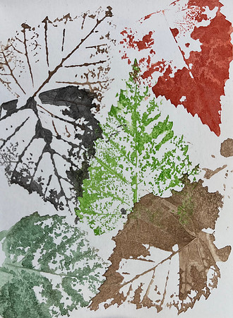 coloured leaf prints