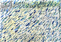 Rain on parched lawn