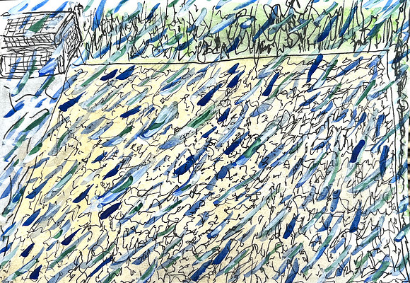 Rain on parched lawn