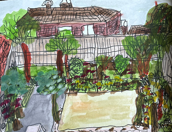 My Garden