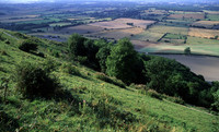 downs&weald2