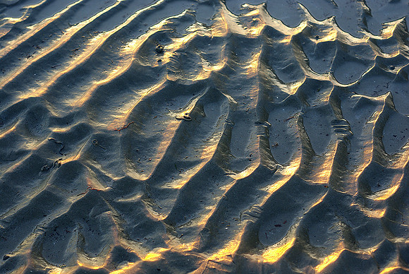 sand_ripples2