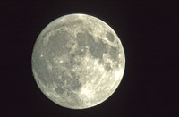 night_full_moon copy
