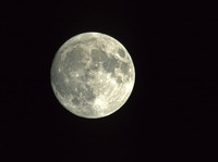 Night_Full_Moon