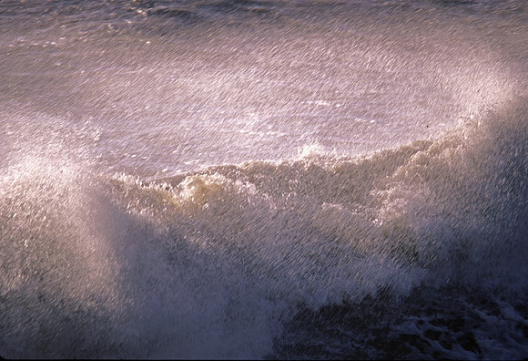 wave
