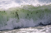 wave7