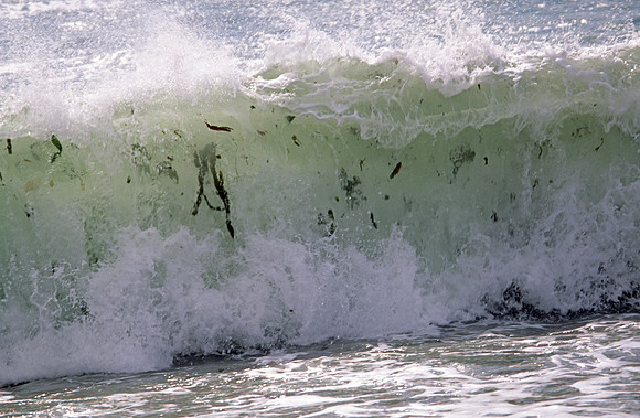 wave7