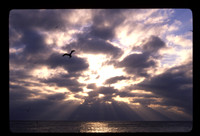 seaandsky