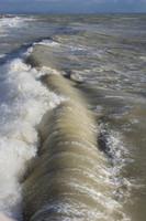 Worthing wave
