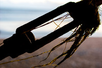 Worthing Pier detail
