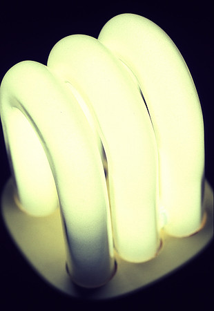 efficientlightbulb