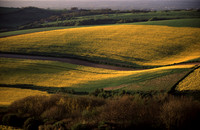 arableland2