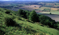 downs&weald2