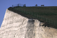chalkcliffs7