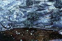 rock_pool