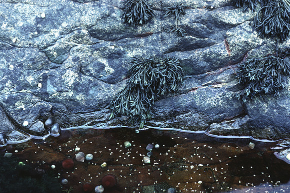 rock_pool