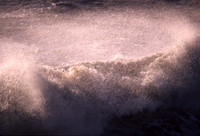 wave