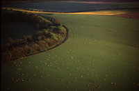 southdowns5