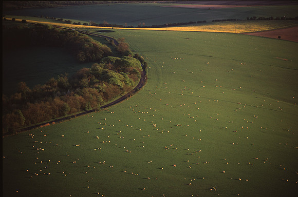 southdowns5