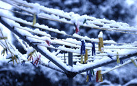 snow