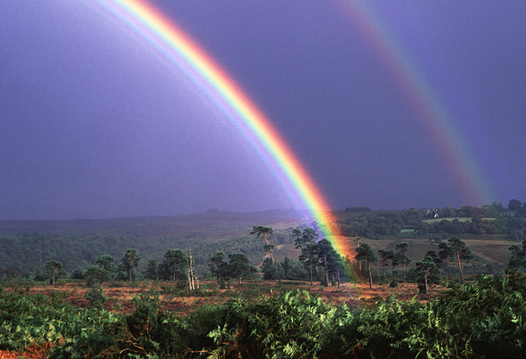 doublerainbow